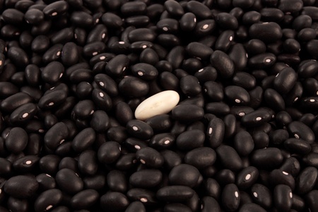 many black beans with a white beanの写真素材