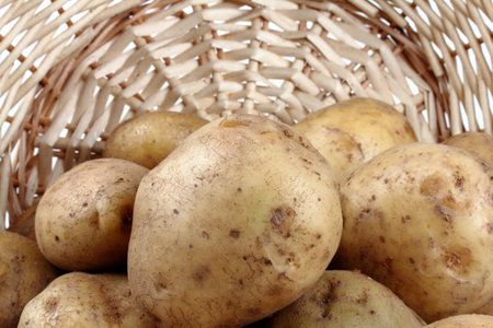 potatoの写真素材