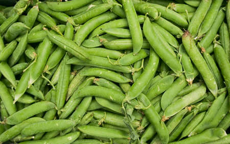 many green peasの写真素材