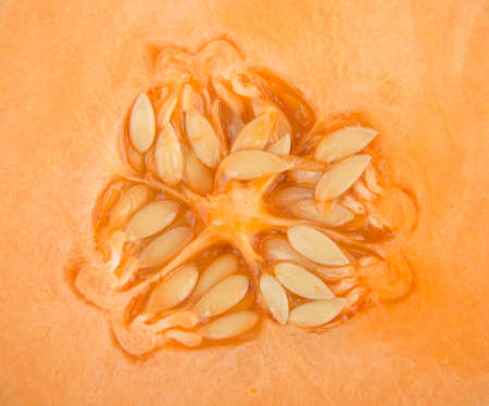 melon isolated on white backgroundの写真素材