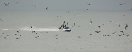 FIGUEIRA DA FOZ, PORTUGAL - SEPTEMBER 17 : Rescue Water Patrol in action in ASP World Qualifier 6 stars Lusiaves Figueira Pro 2010 September 17, 2010 in Figueira da Foz, Portugalのeditorial素材