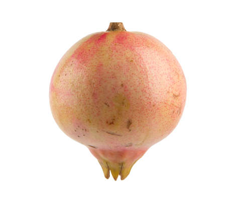 pomegranate isolated in white backgroundの写真素材