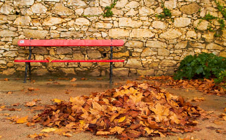 autumn leaves sceneの写真素材