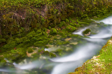 Liz River Spring in Leiria - Portugalの写真素材