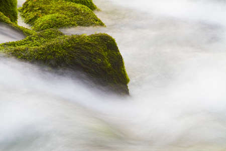 Liz River Spring in Leiria - Portugalの写真素材