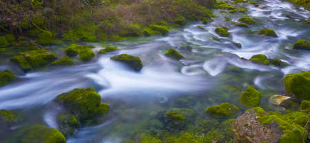 Liz River Spring in Leiria - Portugalの写真素材