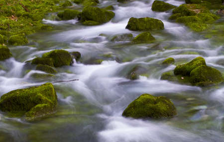 Liz River Spring in Leiria - Portugalの写真素材