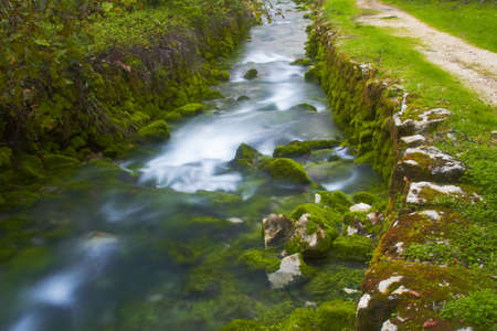 Liz River Spring in Leiria - Portugalの写真素材