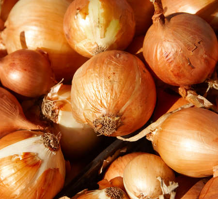 close up of onions on market standの写真素材