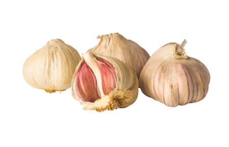 Garlic isolated on white background の写真素材