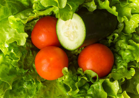 Fresh green lettuce tomato and cucumberの写真素材