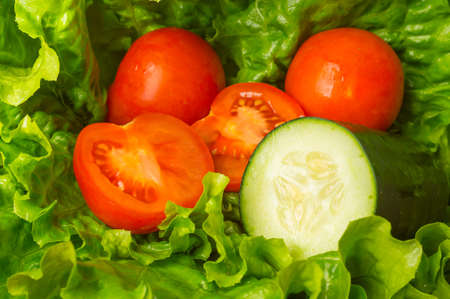Fresh green lettuce tomato and cucumberの写真素材