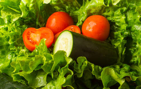 Fresh green lettuce tomato and cucumberの写真素材