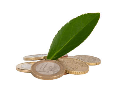 coin growth conceptの写真素材