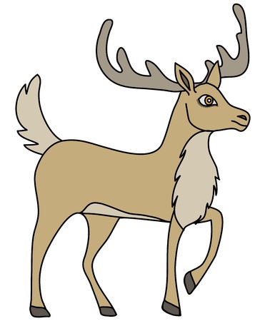 deerの写真素材