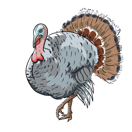 Turkey art painting of birdの写真素材