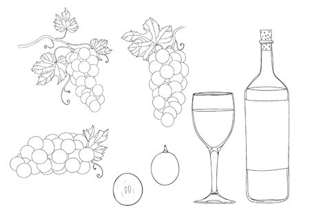 grapes hand drawn set line  art illustrationのイラスト素材