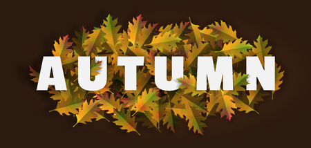 Autumn  background layout decorate with leaves for banner leaflet poster  web  template.Vector illustration.のイラスト素材