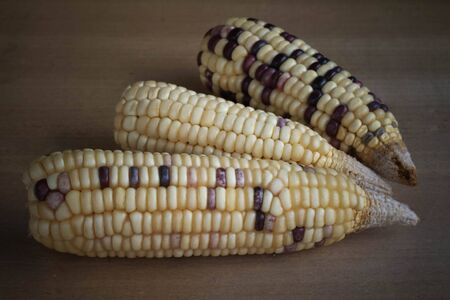 Cornの写真素材