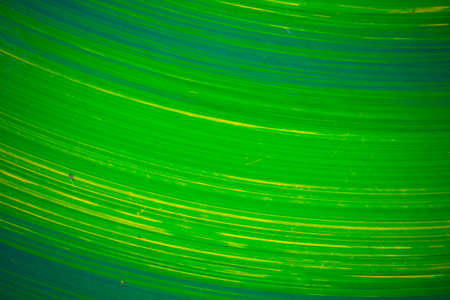 Abstract  backgroundの写真素材