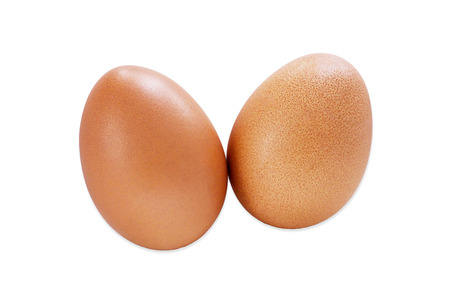 Eggs on white backgroundの写真素材