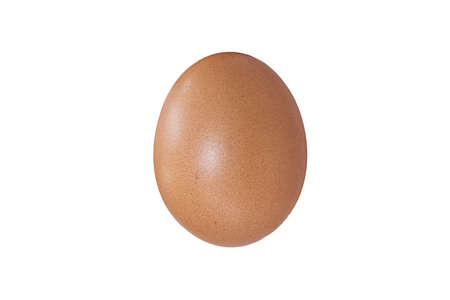 The egg on white backgroundの写真素材