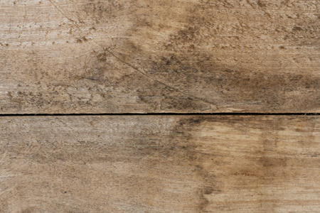 Wood Texture Backgroundの写真素材