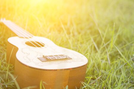 Ukulele on green grass with soft lightの写真素材