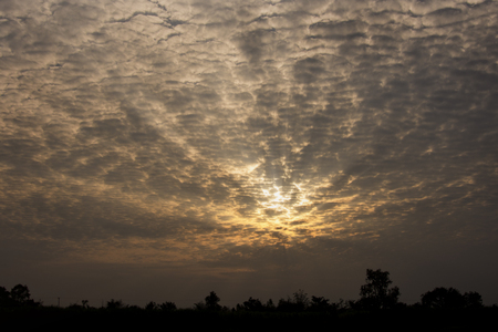 Cloud and blue sky sunshine beam with sunset on tree silhouette.の写真素材