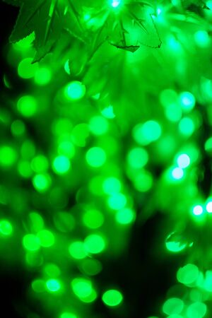 Bokeh light green defocus at night abstract background.の写真素材