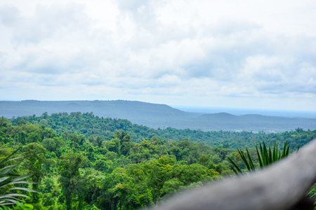 Landscape top trees with mountains and blue skyの写真素材