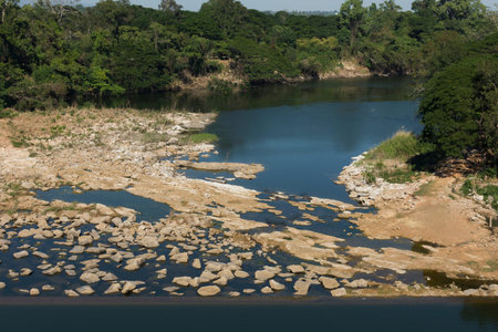 landscape behind the dam with forest and a river.