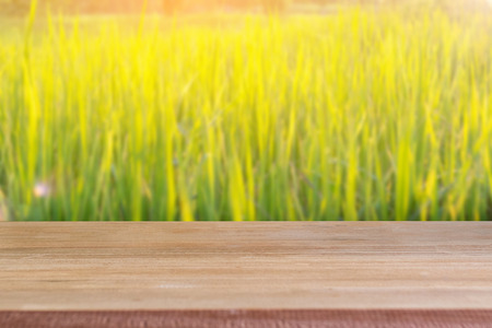 Wood blank table with rice field background.の写真素材