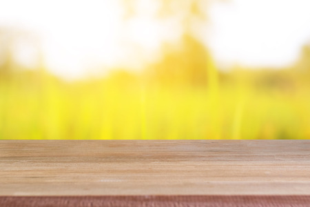 Wood blank table with rice field background.の写真素材