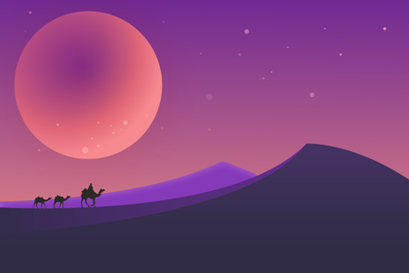 Desert landscape during the nightの写真素材