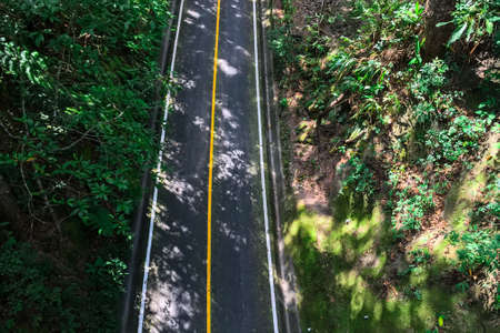 Top view of road and green forest sunlightの写真素材