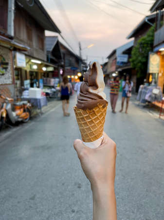 Yellow Gerbera grows in the gardenの写真素材