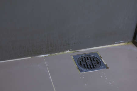 Bathroom drain grate coverの写真素材