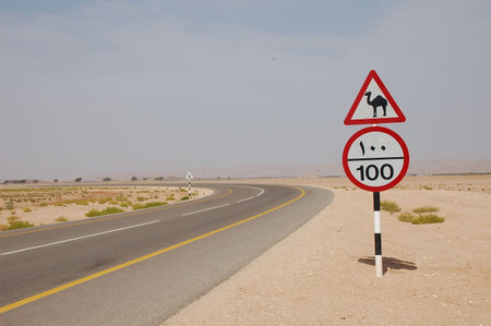 Camel crossing signの写真素材