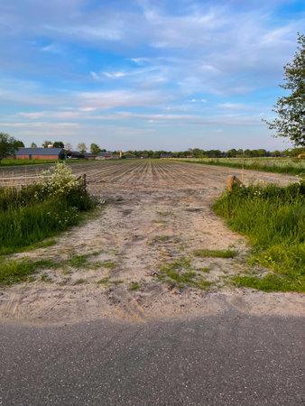 Experience the rustic charm of a plowed field merging with sandy textures, revealing a captivating landscape where nature's raw beauty unfoldsの写真素材