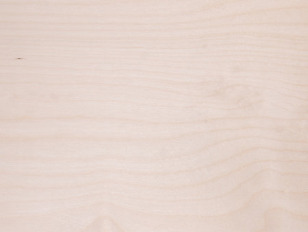 Plywood Birch sheet material detailed top view texture. A combination of rich grains, natural patterns and straight lines. Create a stunning visual appeal for your projectsの写真素材