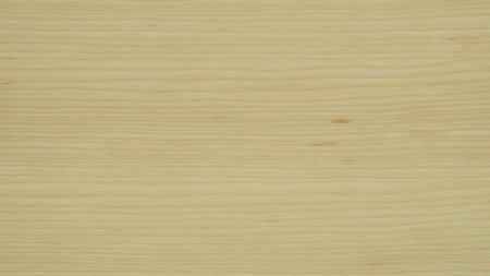 Ash sheet material detailed top view texture. A combination of rich grains, natural patterns and straight lines. Create a stunning visual appeal for your projectsの写真素材