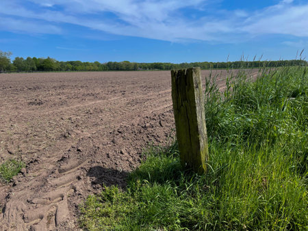 Experience the rustic charm of a plowed field merging with sandy textures, revealing a captivating landscape where nature's raw beauty unfoldsの写真素材