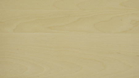 Maple sheet material detailed top view. A combination of rich grains, natural patterns and straight lines. Create a stunning visual appeal for your projectsの写真素材