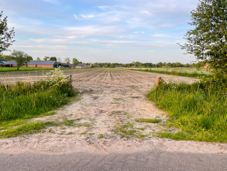 Experience the rustic charm of a plowed field merging with sandy textures, revealing a captivating landscape where nature's raw beauty unfoldsの写真素材