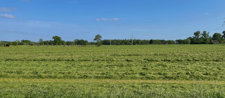 Breathtaking Dutch landscapes in spring summer. A Dutch meadow picture with shallow clouds, vibrant colors and serene tranquility. Capturing the essence of a typical mown grassland in the Netherlands.の写真素材