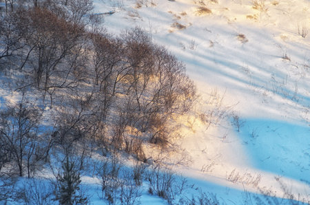 shadows turn blue winter evening