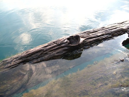 Reflectionの写真素材