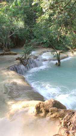 Summerの写真素材