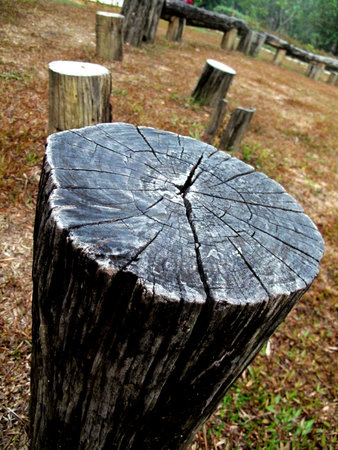 The Logの写真素材